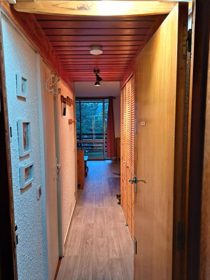 Appartement Montagnard Serre-Chevalier. サン・シャフレ エクステリア 写真